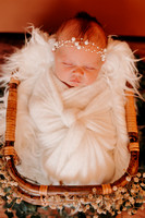 newborn | jessi