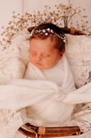 newborn | tia + fam